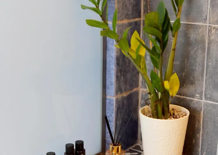 Hotel Elaia-fos Rhodes City