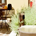 Hotel Elaia-fos 3*